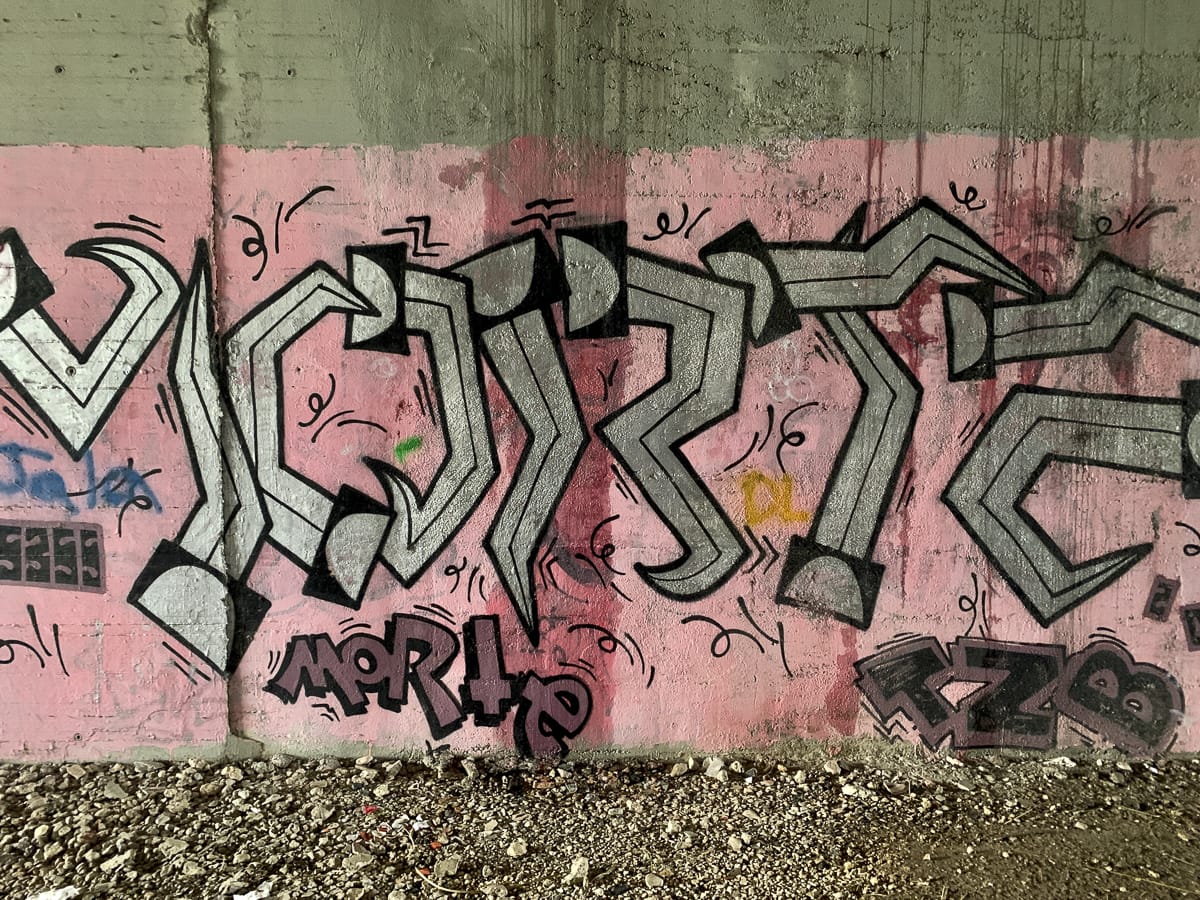 20231019-IMG_9454